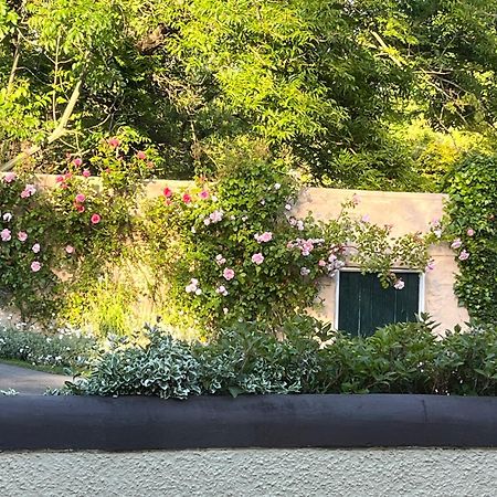拉恩Old Mill House住宿加早餐旅馆 外观 照片
