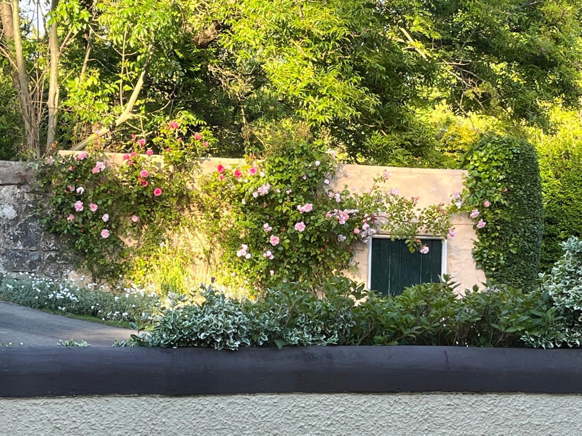 拉恩Old Mill House住宿加早餐旅馆 外观 照片